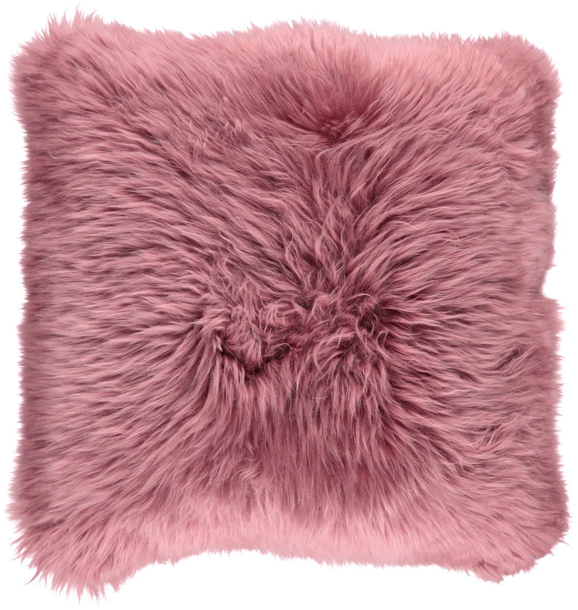 Saueskinnspute | Langhåret | New Zealand | 50x50 cm - Image 14