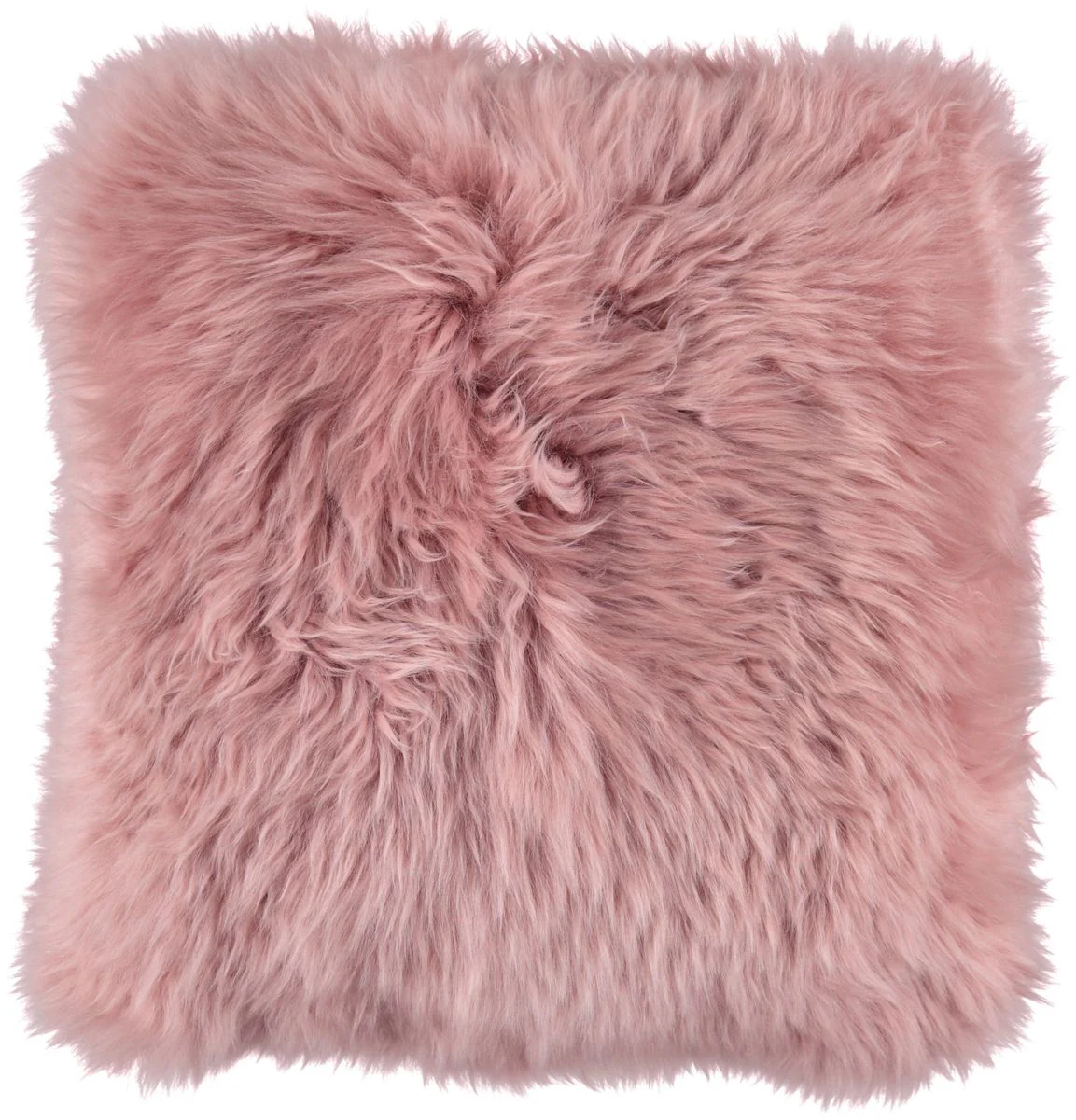 Saueskinnspute | Langhåret | New Zealand | 50x50 cm - Image 15