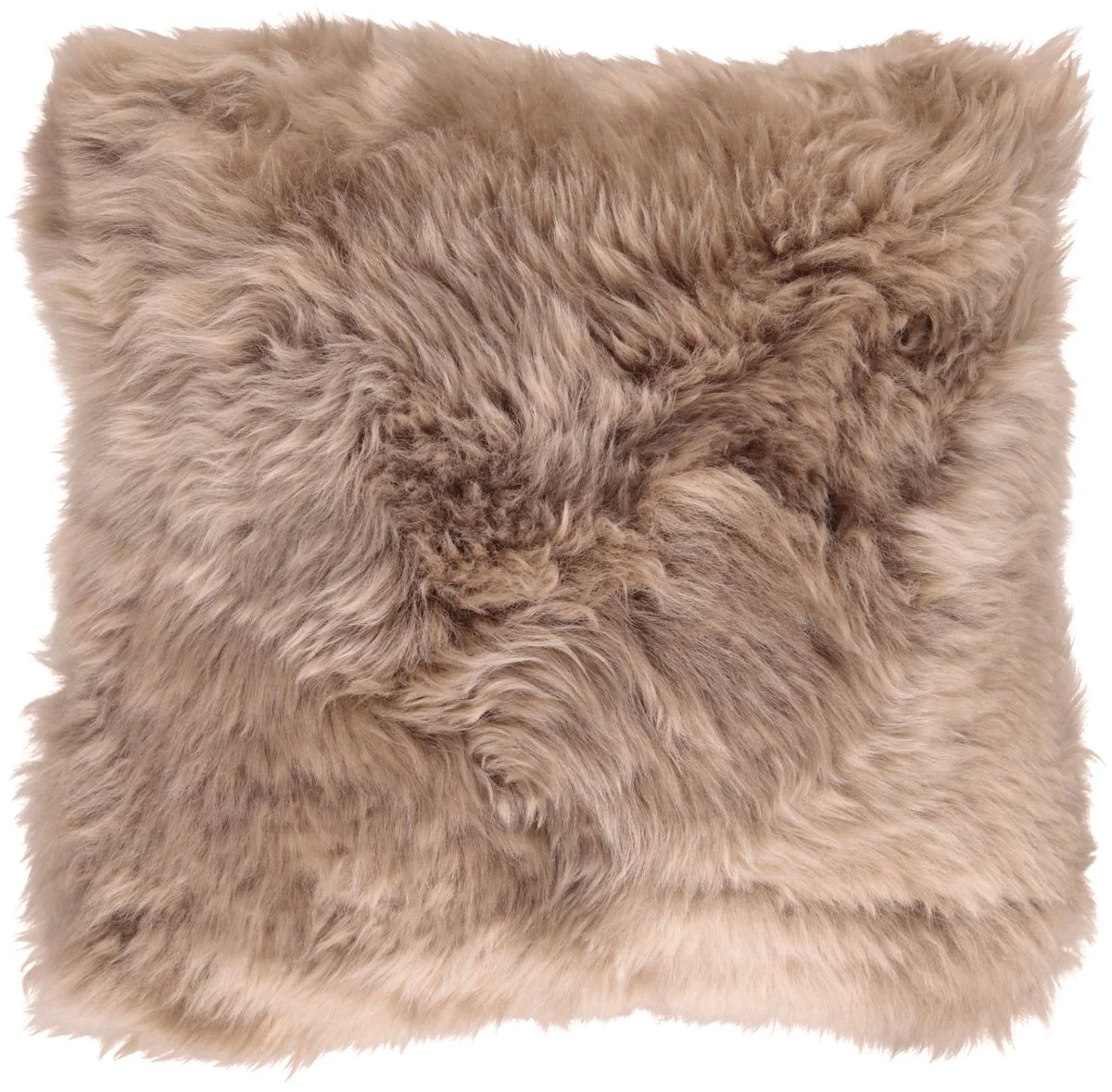 Saueskinnspute | Langhåret | New Zealand | 50x50 cm - Image 18