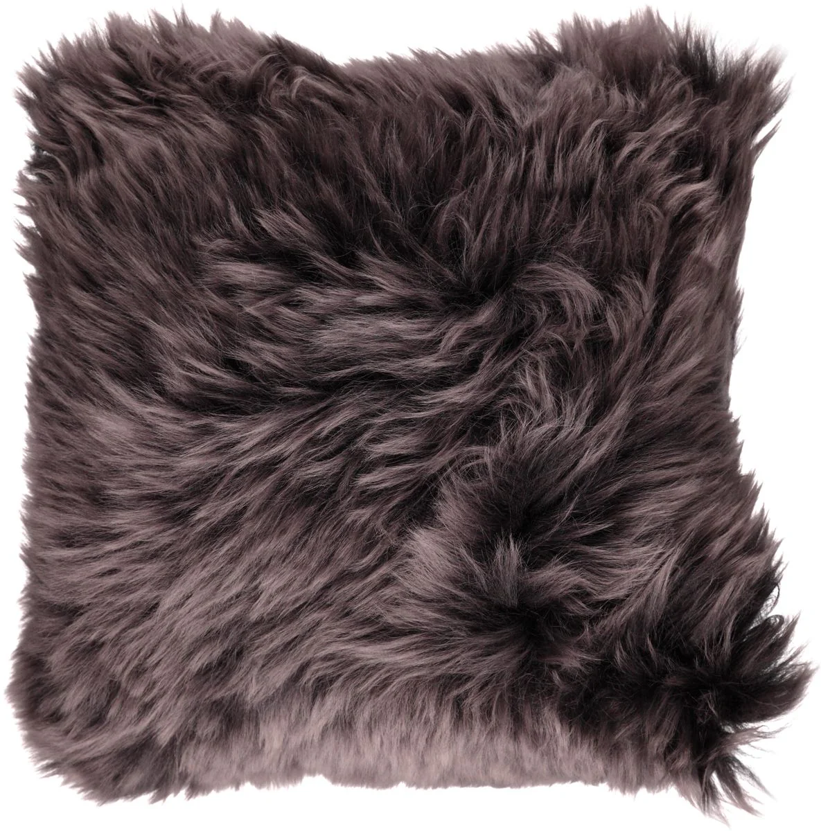 Saueskinnspute | Langhåret | New Zealand | 50x50 cm - Image 19