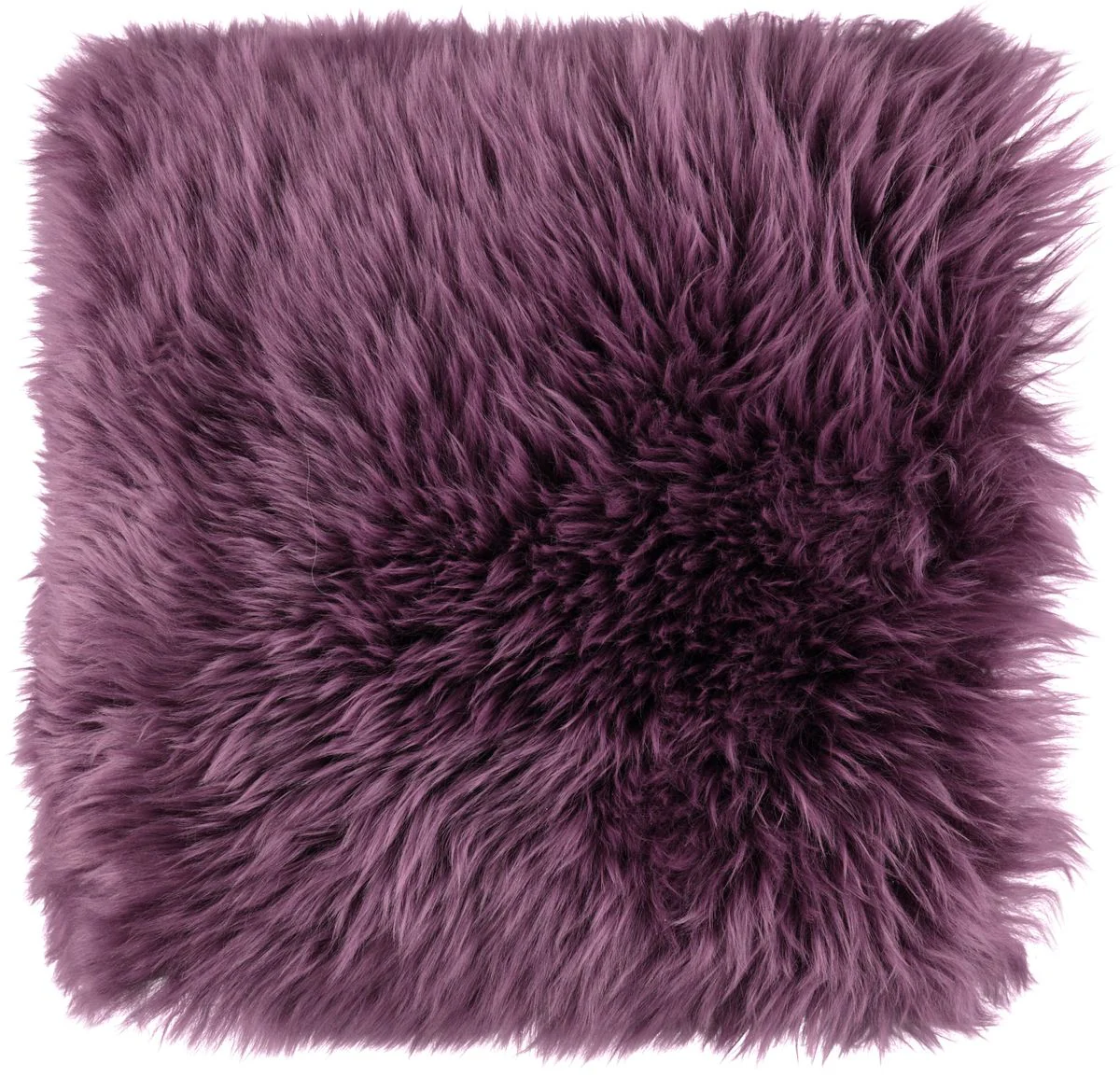 Saueskinnspute | Langhåret | New Zealand | 50x50 cm - Image 3