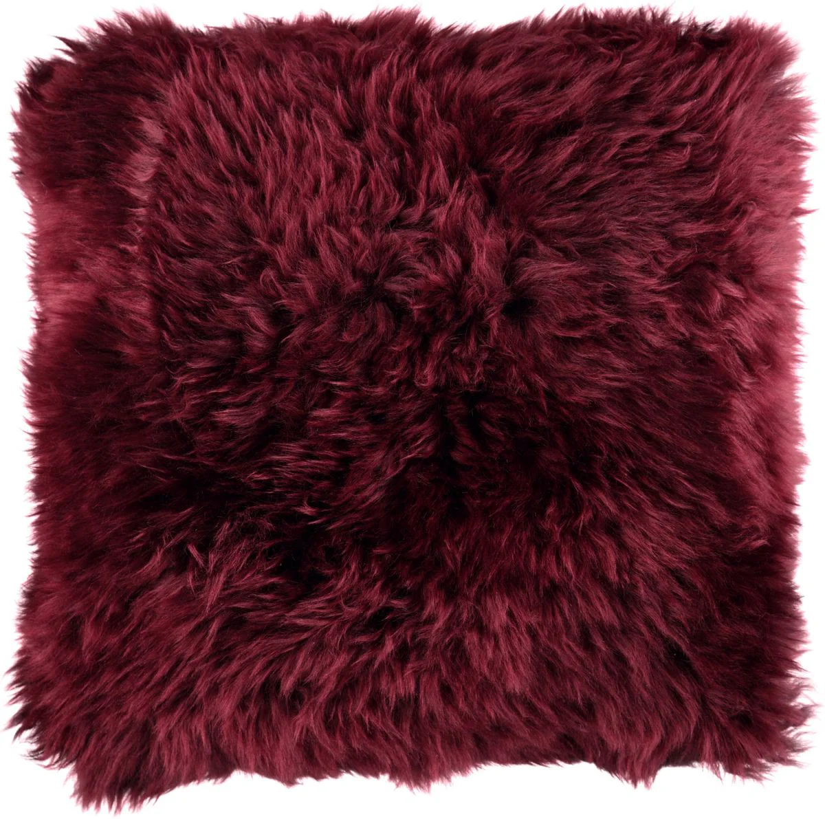 Saueskinnspute | Langhåret | New Zealand | 50x50 cm - Image 5